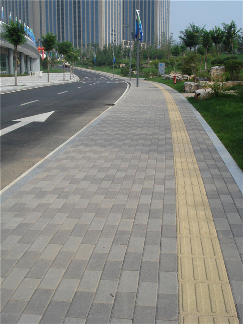 <b>导盲砖 (5)</b>