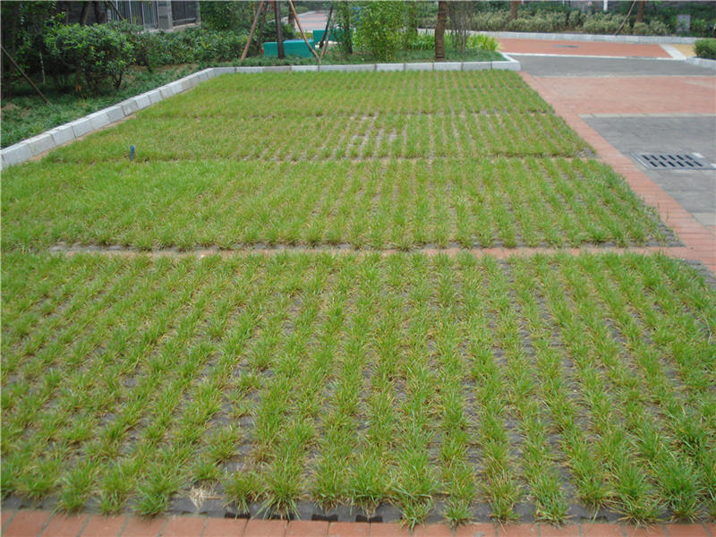 <b>植草砖 (5)</b>